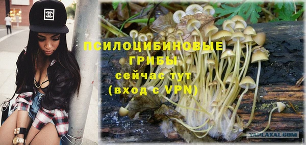 марихуана Абаза