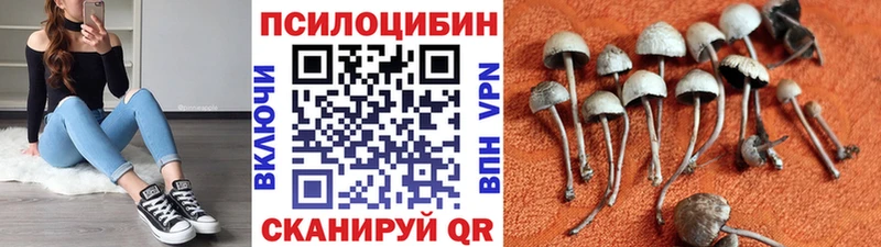 OMG как зайти  наркошоп  Болотное  Псилоцибиновые грибы мухоморы 