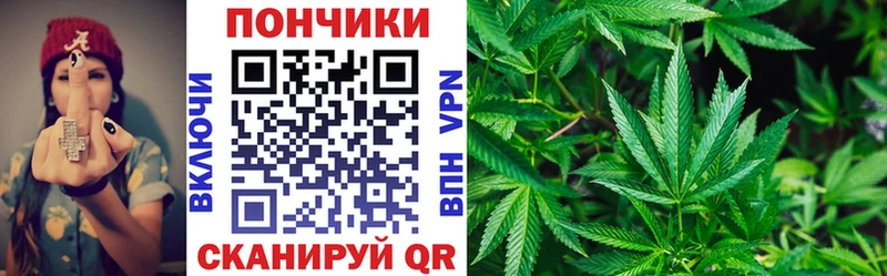 закладка  Болотное  Марихуана сатива 